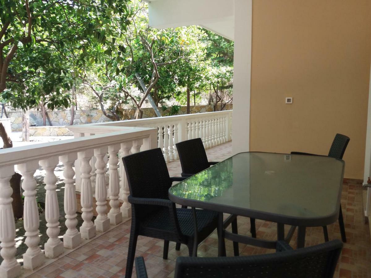 Turtle Appartement